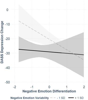 Negative Emotion Differentiation Predicts Psychotherapy Outcome: Preliminary Findings